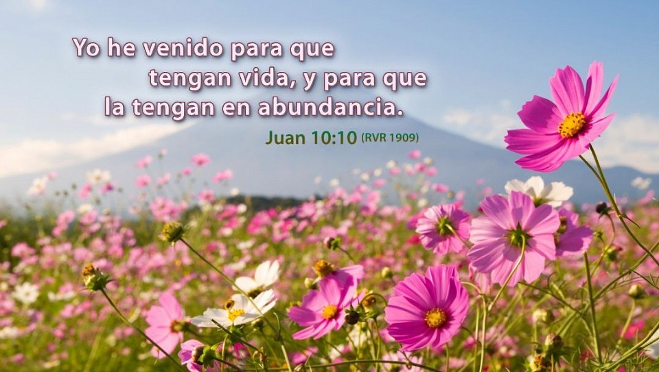 Iglesia Dios Fé biblia amor culto cristiano albacete